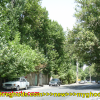 عکس های زیبای شهرقدس